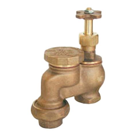 Buckner Red Brass Anti Siphon Valve With Union 34 In Siteone