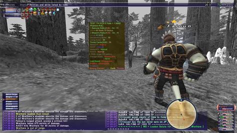 Corsairs are extraordinary for almost any party situation. FFXI - Wrathare - Corsair Solo - YouTube
