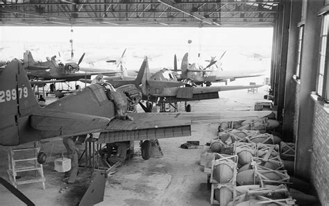 Jun 20, 2021 · η δημοσιογράφος λίντσεϊ σνελ έγραψε στο twitter ότι, υπάρχουν φήμες πως ο φιλοτουρκικός. Περσικός διάδρομος: Η άγνωστη οδός ανεφοδιασμού που έκρινε ...