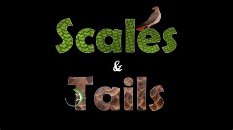 Scales And Tails Alapark