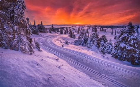 Norway Winter Snow Road Trees Sunset Wallpaper