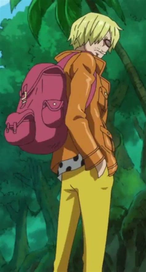 Arc Zou One Piece - ONEPIECE