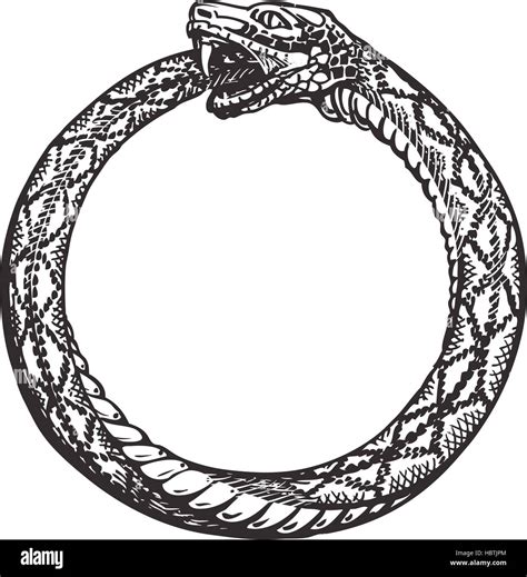 Ouroboros Snake Eating Its Own Tail Eternity Or Infinity Symbol Stock