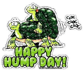 Happy Hump Day Gif Turtles Humpday Wednesday Discover Share Gifs