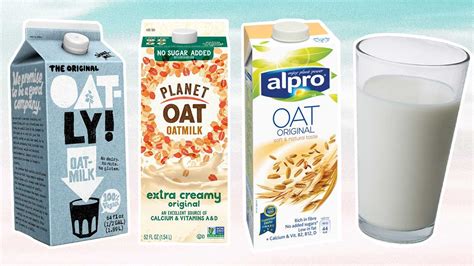 Is Oat Milk Healthy A Guide To This Popular Dairy Free Drink