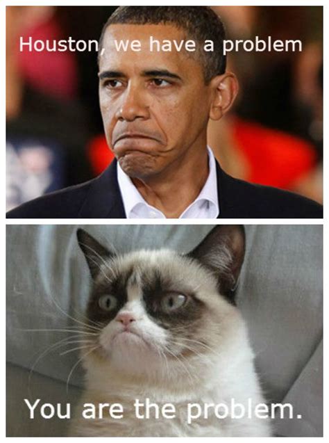 So True Funny Grumpy Cat Memes Cat Jokes Grumpy Cat Quotes