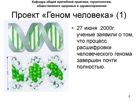 Морально этические проблемы медицинской генетики презентация онлайн