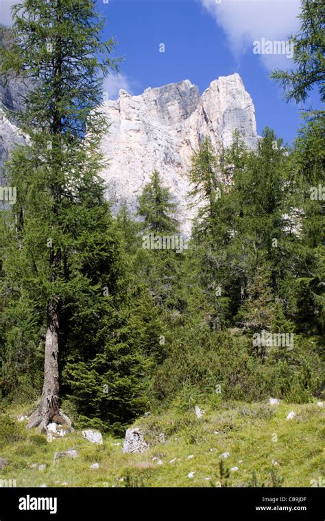 Dolomite Monte Pelmo Stock Photo Alamy
