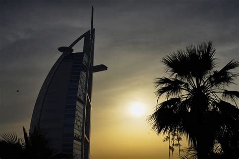 Dubai Porta Potty Cosa è Lo Scandalo Che Coinvolge Centinaia Di Influencer