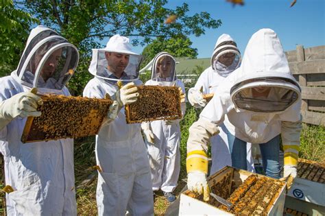 Beekeepers Sustainable Agriculture Project Grand Valley State University