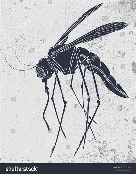 Stencil Mosquito Vector Illustration Mosquito Insect Stock Vector