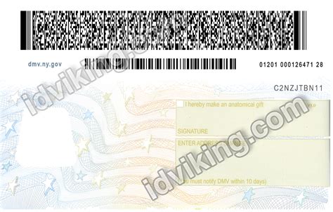 New York Ny Drivers License Psd Template Download Idviking Best