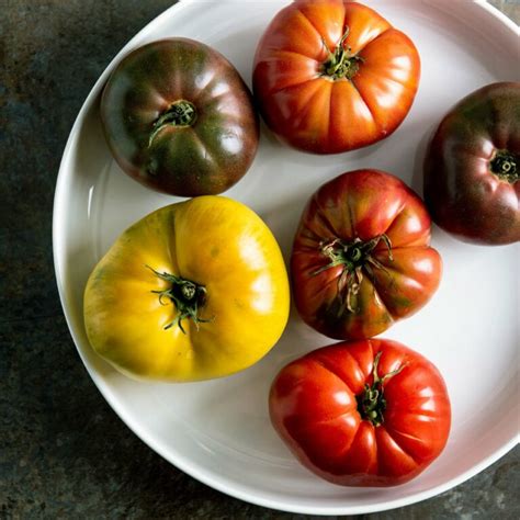 How To Cook Tomatoes 11 Fresh Tomato Recipes — The Mom 100