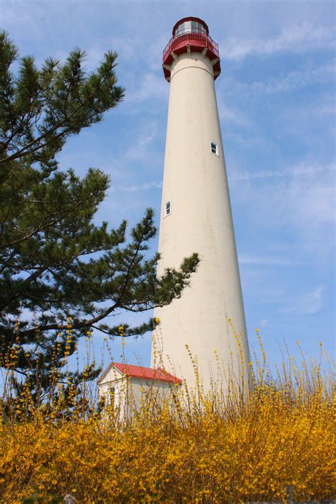 Cape May Lighthouse Cape May Mac