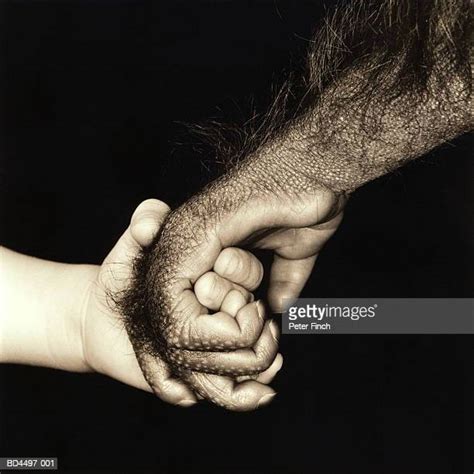 Orangutans And Humans Photos And Premium High Res Pictures Getty Images