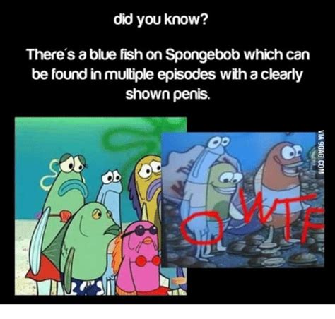25 Best Memes About Spongebob Green Fish Spongebob
