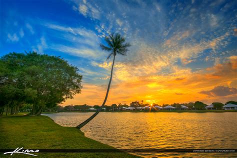 Coconut Tree At Lake Sunset Palm Beach Gardens Royal Stock Photo