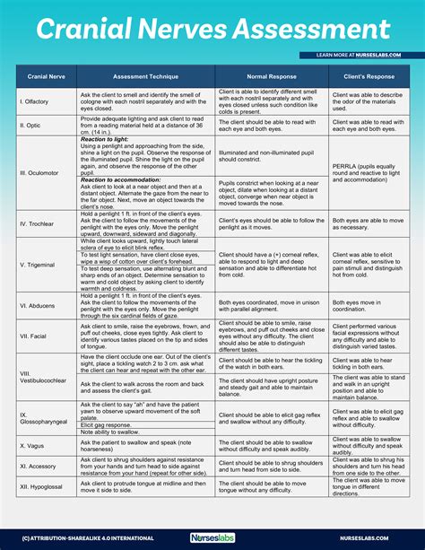 Cranial Nerves Chart And Assessment Cheat Sheet 2020 Nurseslabs