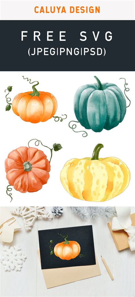 Free Watercolor Thanksgiving Pumpkins Graphic With Png Jpeg And Psd