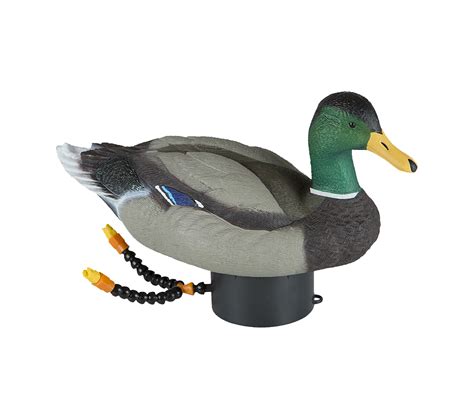 Duck Hunting PNG HD Transparent Duck Hunting HD.PNG Images. | PlusPNG gambar png