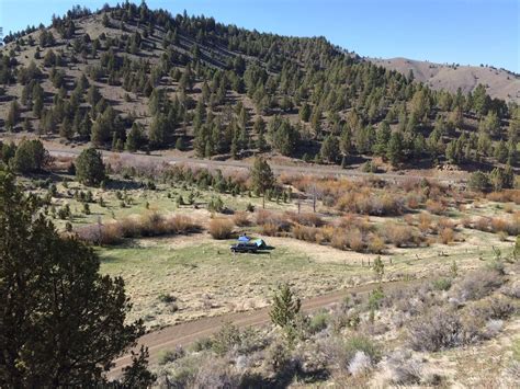 232 Acres In Grant County Oregon