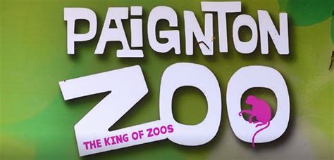 Paignton Zoo Factsheet Ears And Ideas