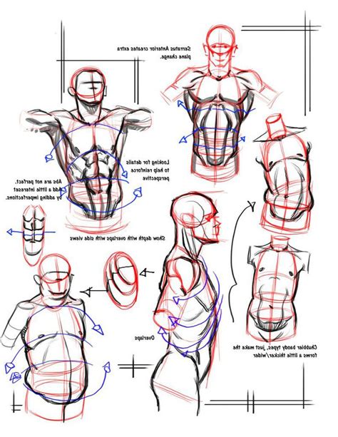 50 Grey Folder Of Drawing Tips And Tricks Anatomy Drawing Guy