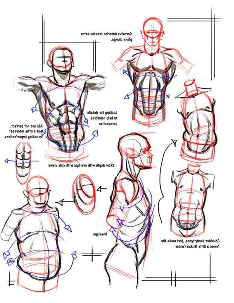 My male is supposed to be ridiculously muscular in opposition to a slim female. Best 164 Male body poses images on Pinterest | Anatomy reference, Action poses and Fighting poses
