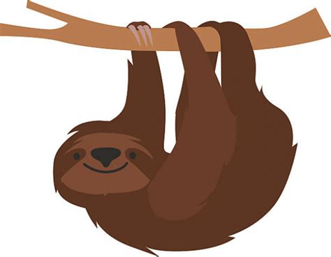 Sloth Clipart Free Faultier Pictures On Cliparts Pub 2020 🔝