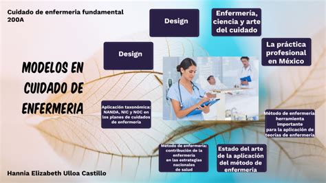 Mapa Conceptual Del Modelo De Cuidados De Enfermería En México By