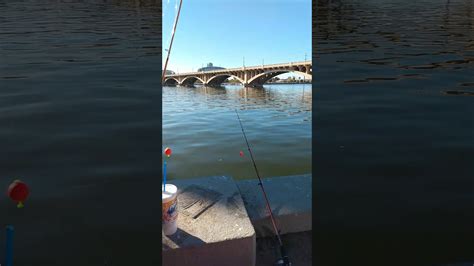 Tempe Town Lake Fishing Youtube