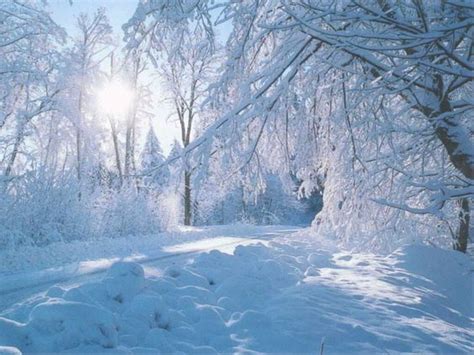 Most Beautiful Snow Scenes Snow Falling Wallpapers Wonderful Winter
