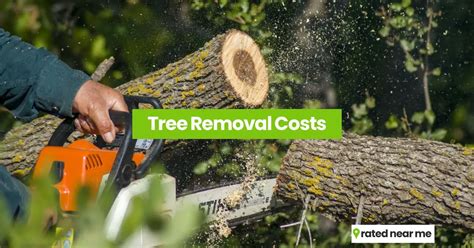 Tree Removal Cost How To Get Cheaper Prices