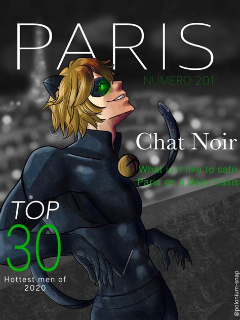The Duality Of Adrien Agreste Magazine Covers Miraculous Amino