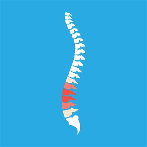 Premium Vector Back Pain Vector Icon Illustration Isolated On Blue