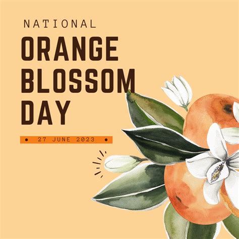 happy 🍊national orange blossom outdoor equipment co