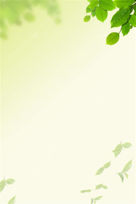 371 Background Green Leaves Images And Pictures Myweb