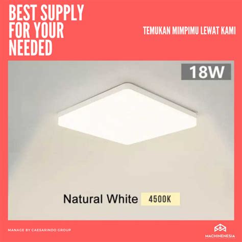 Jual Lampu Plafon Minimalis Cahaya Putih Natural 4500k 18w Ceiling