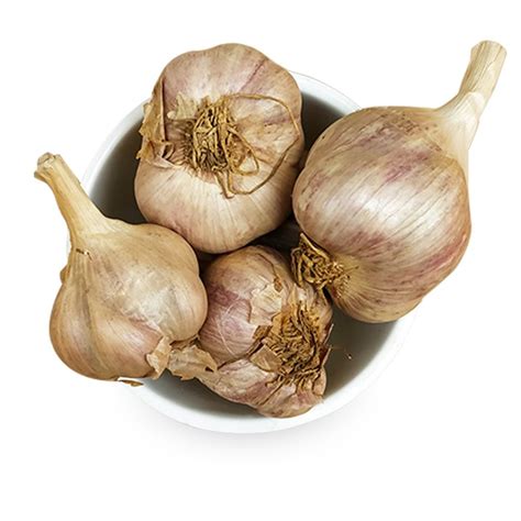 A Grade Kg Kodaikanal Hill Garlic Garlic Size Medium Good For Health At Rs Kg In