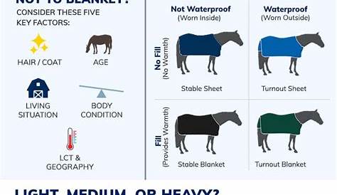pony blanket size chart