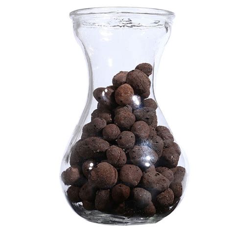 Organic Expanded Clay Pebbles Grow Media Orchids Hydroponics