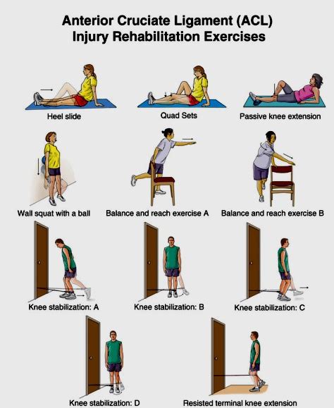 Exclusive Physiotherapy Guide For Physiotherapists Exercise For Acl Injury