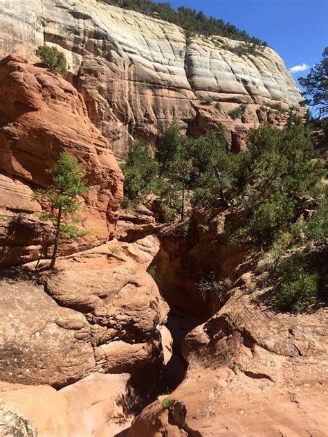 Check out our new mexico desert selection for the very best in unique or custom, handmade pieces from our shops. The Monastery of Christ in the Desert In New Mexico Is ...