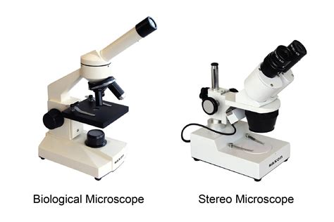 Microscope Buying Guide How To Choose A Microscope