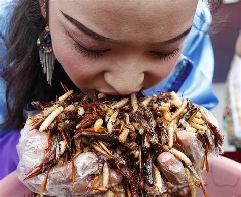 Gross The Revolting Eating Contest Where People Gorge On Creepy Crawlies Daily Star