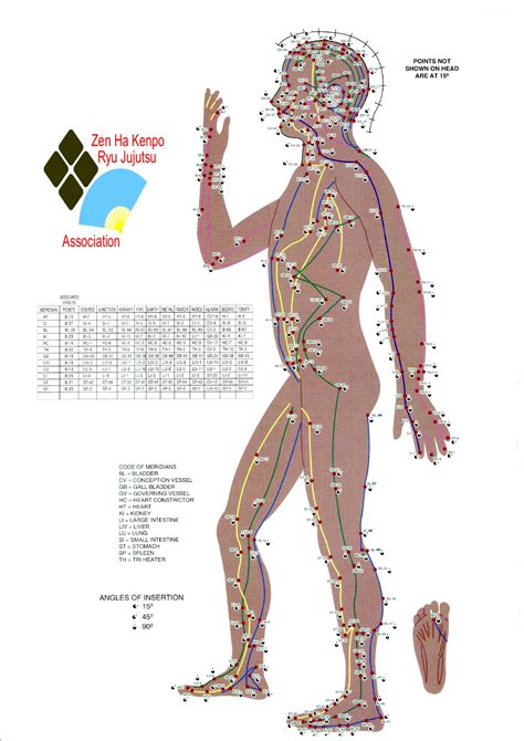 Meridian Massage Acupressure Chart Ph