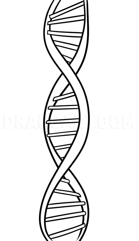 How To Draw Dna Coloring Page Trace Drawing