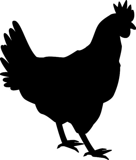 Silkie Shamo Chickens Silhouette Rooster Clip Art Silhouette Png