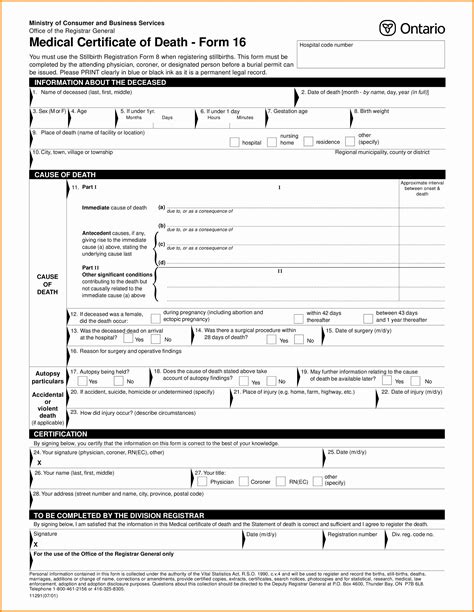 Blank Autopsy Report Template Latter Example Template