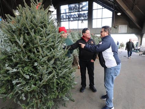 David jacobson selling christmas tree. Christmas tree 101 with Stew Leonard, Jr.
